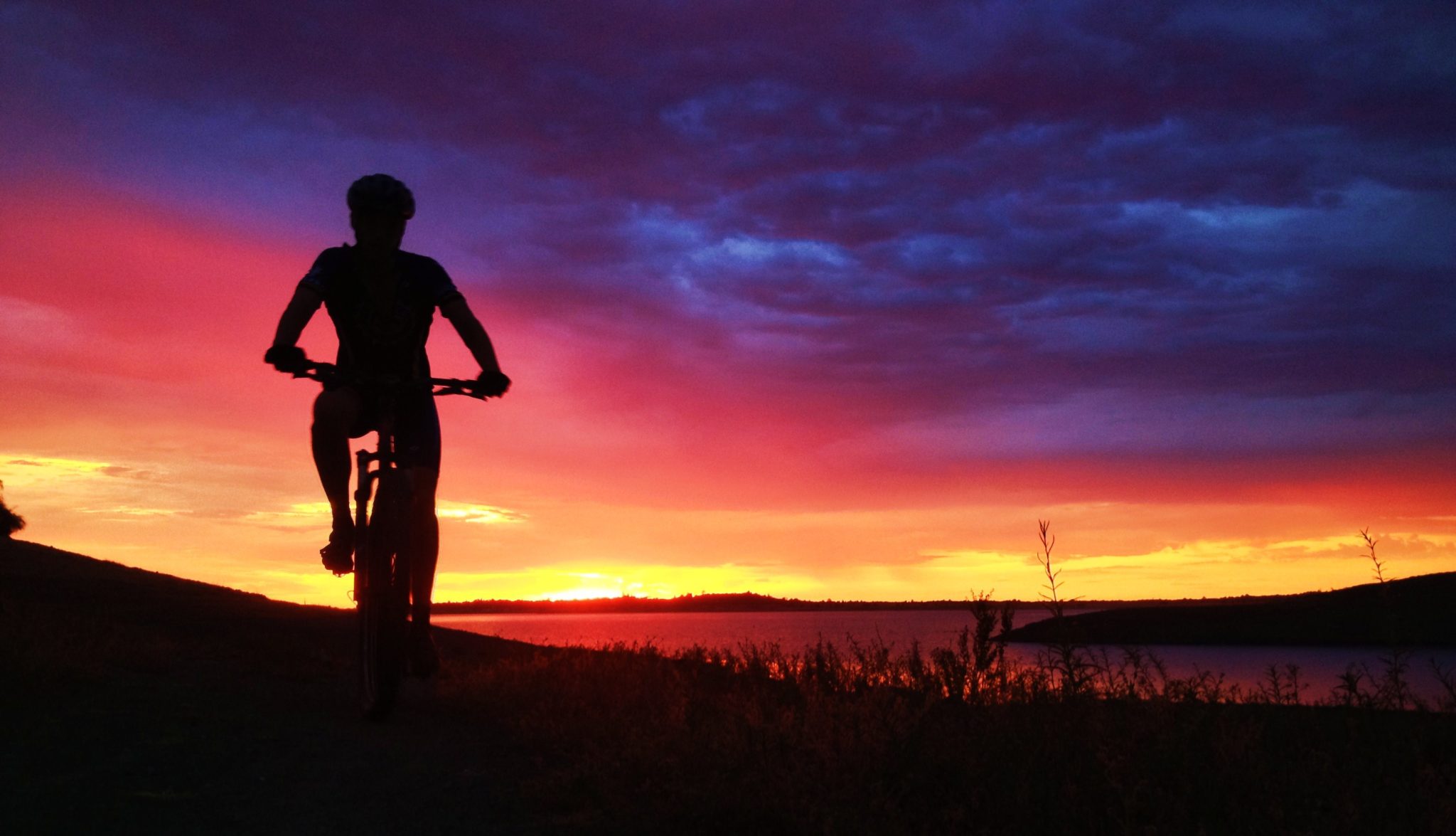 About The Park FOLFAN